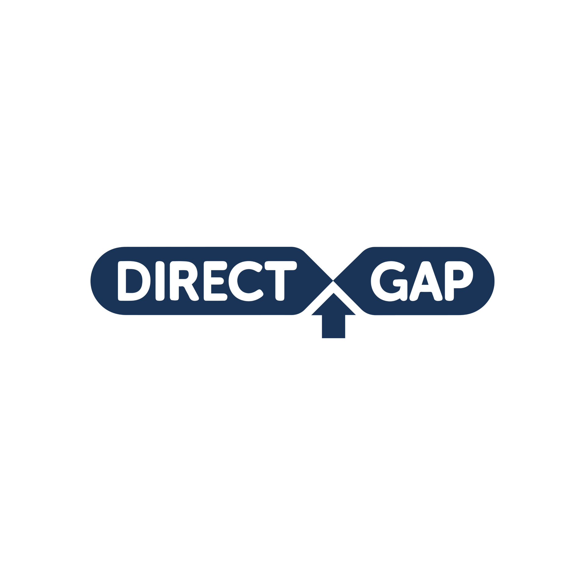 Direct Gap Logo White Square